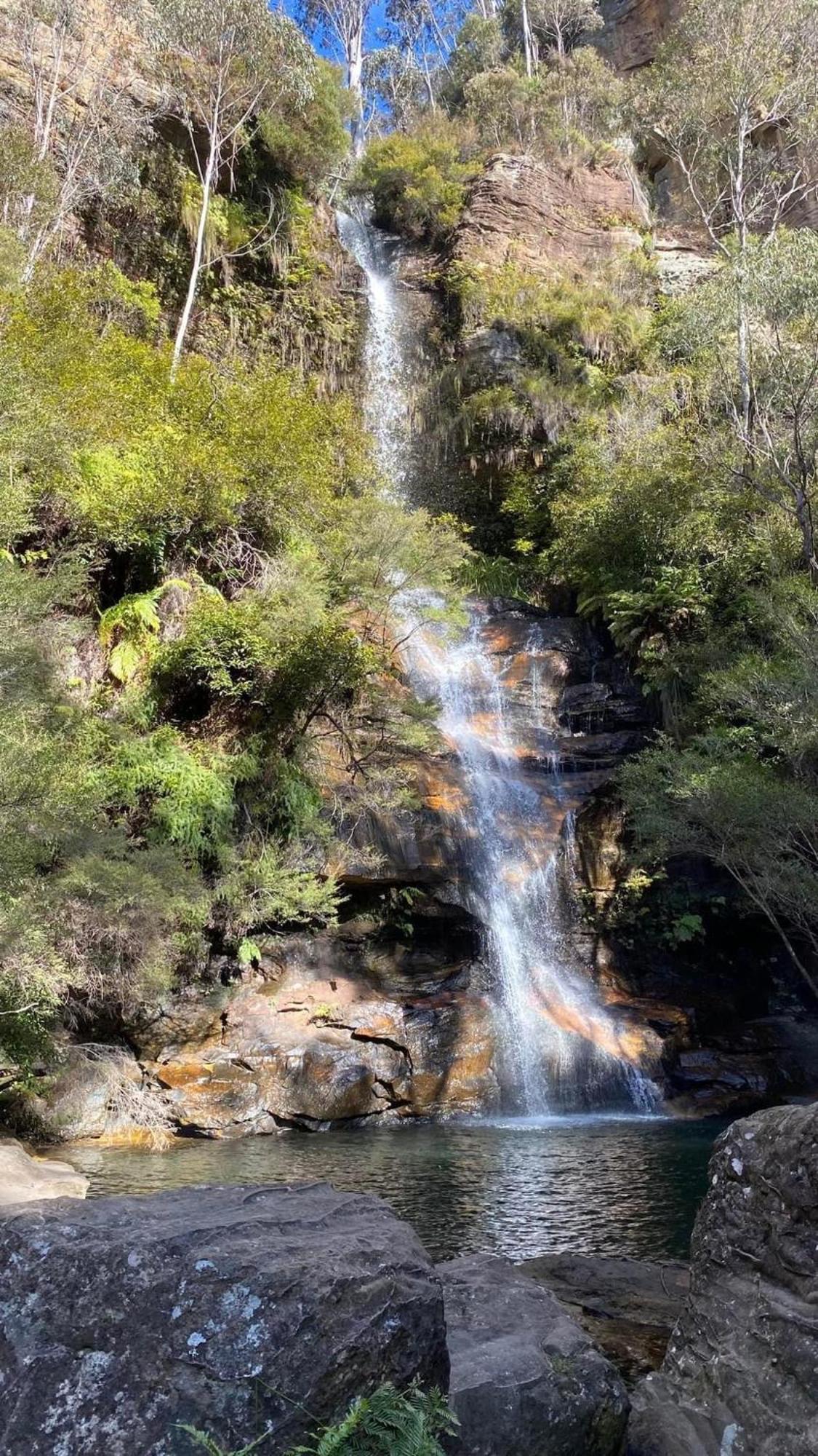 Blissful Mountain Stay Katoomba Buitenkant foto